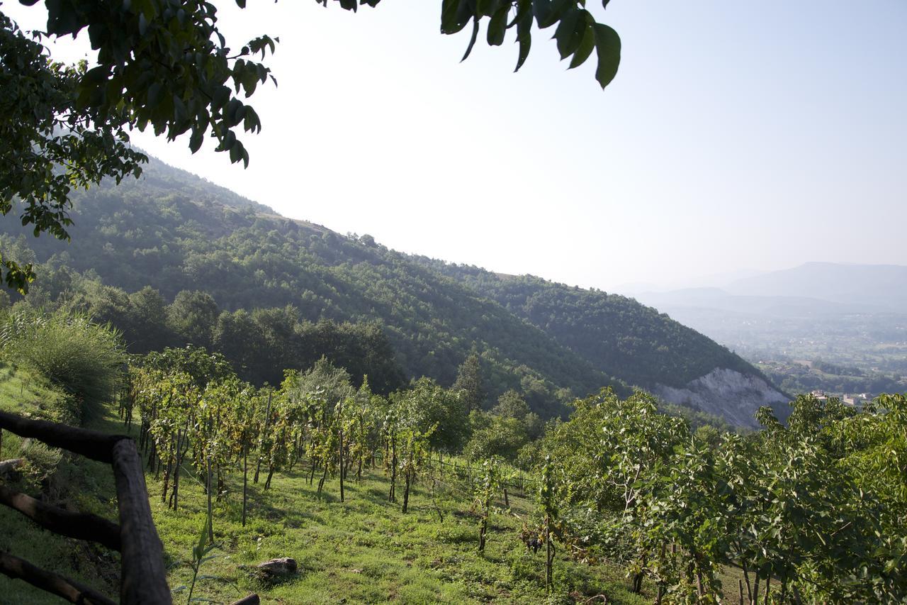 Fattoria Alvaneta Padula Luaran gambar