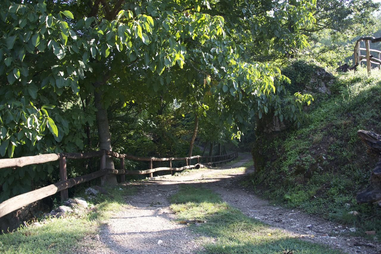 Fattoria Alvaneta Padula Luaran gambar
