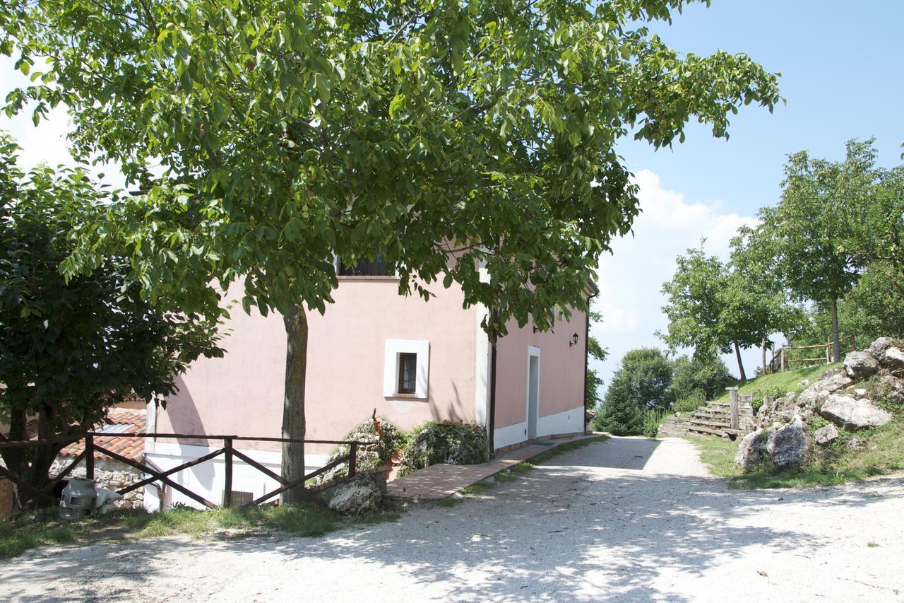 Fattoria Alvaneta Padula Luaran gambar