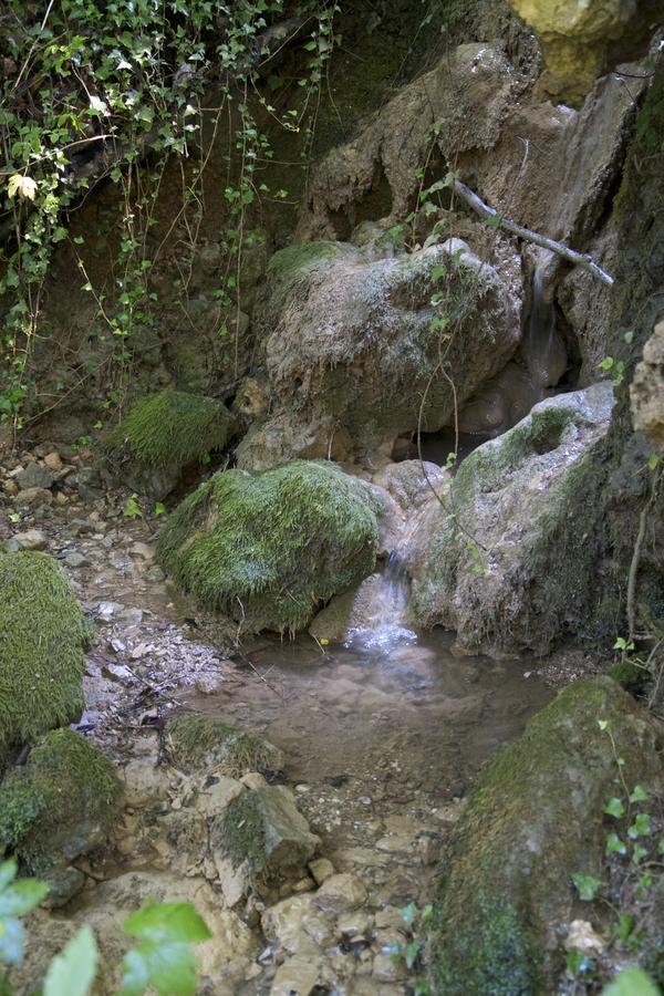 Fattoria Alvaneta Padula Luaran gambar